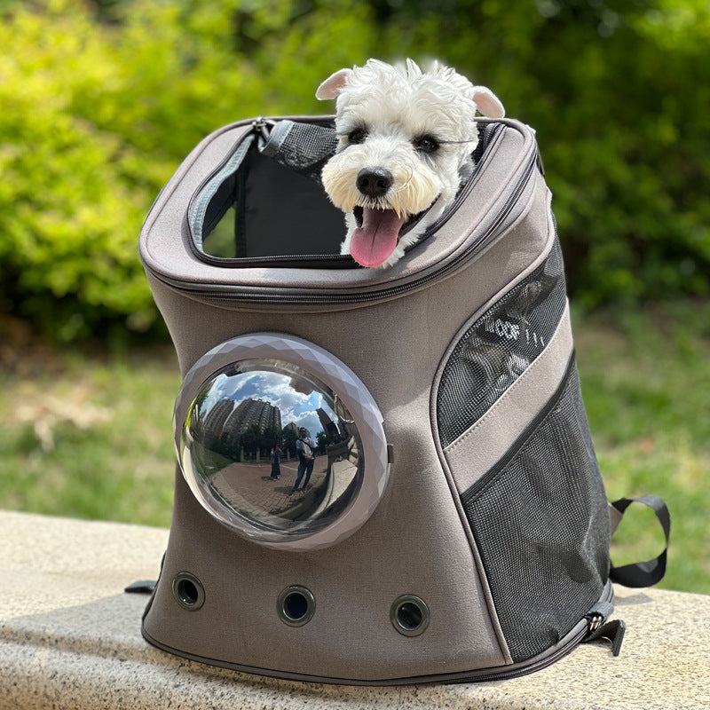 Draagtas voor kat en hond, draagbaar voor middelgrote honden, rugzakstijl